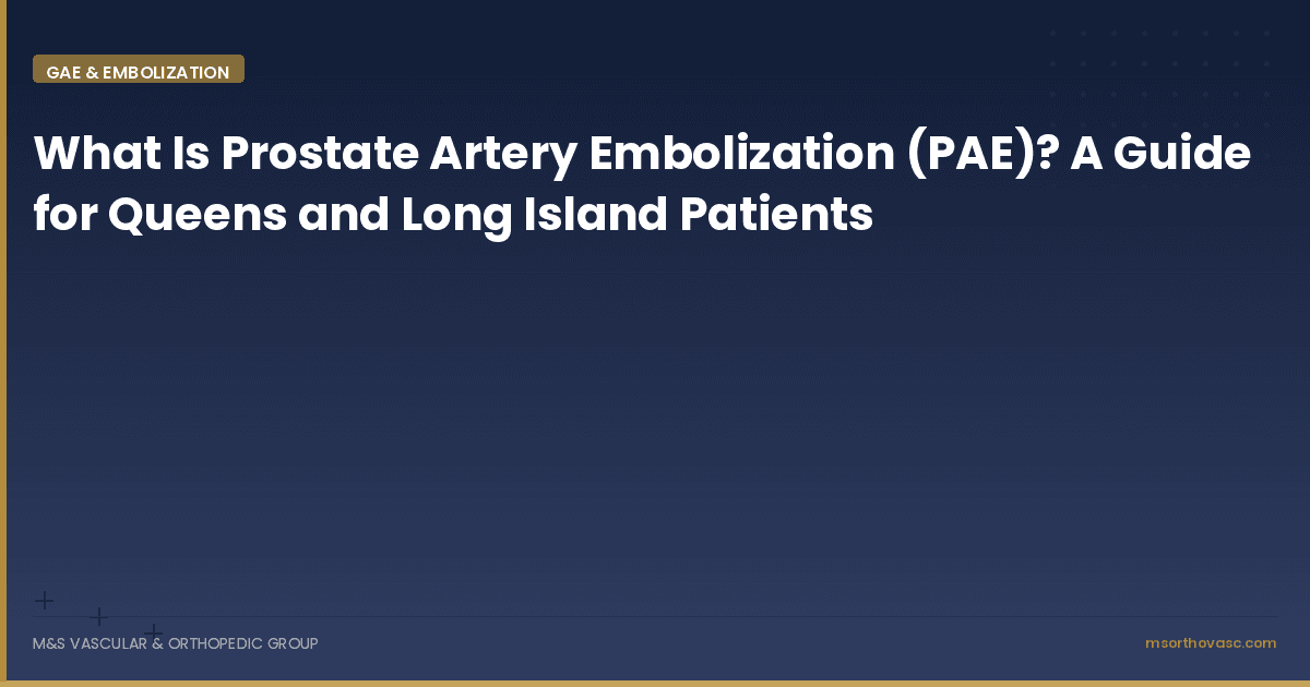 What Is Prostate Artery Embolization? A Queens and Long Island Guide